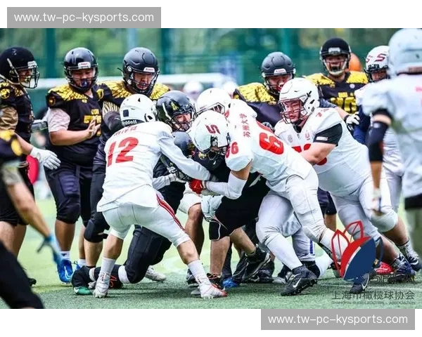 激烈角逐！2024年度橄榄球赛况全解析